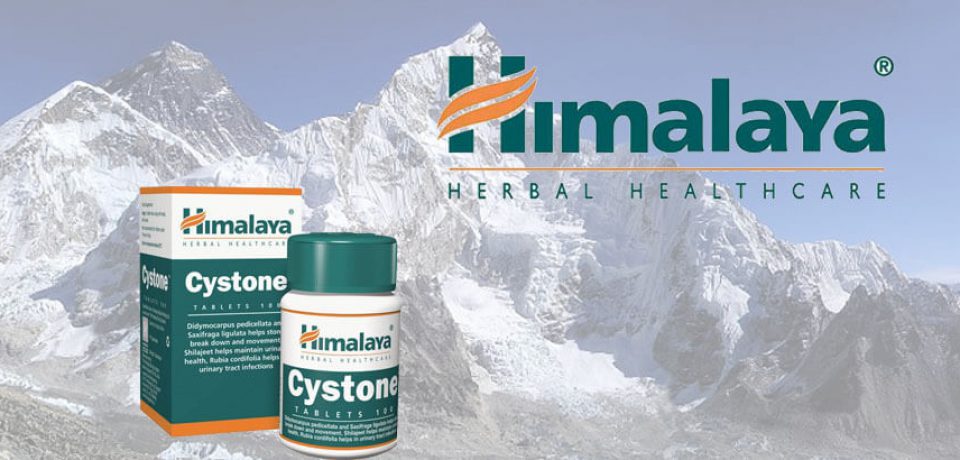 Himalaya Cystone – zioła na kamienie nerkowe