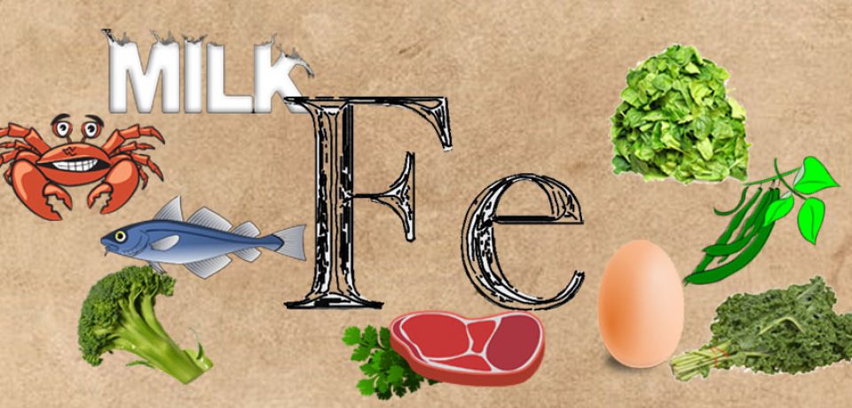 Żelazo – ważne dla zdrowia