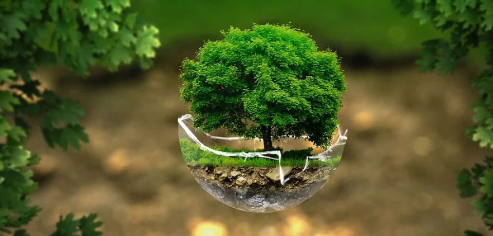 EKO – EKOLOGIA – a jak ty ją postrzegasz?