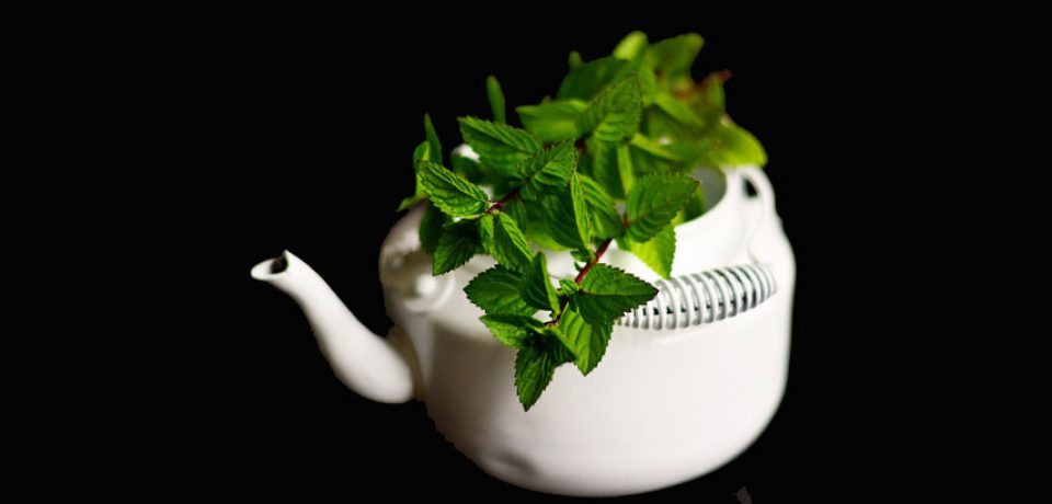 CHOLAGOGA – mieszanka ziołowa sprzed lat