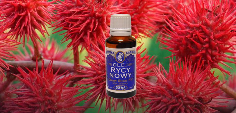 OLEJ RYCYNOWY – CO MUSISZ O NIM WIEDZIEĆ