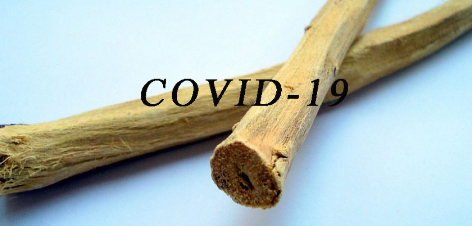 LUKRECJA NA POMOC W WALCE Z WIRUSEM COVID-19. Czy da Ci siłę?