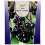 Owoc bzu czarnego 50g