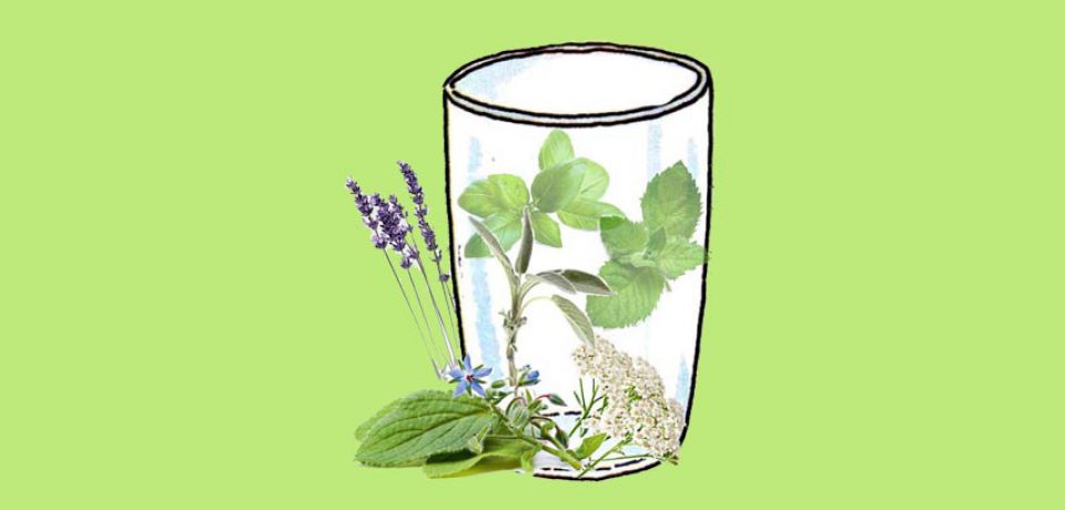 Szklanka ziół… na upały!