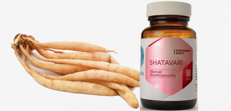 SHATAVARI – zioło na zdrowie kobiet!