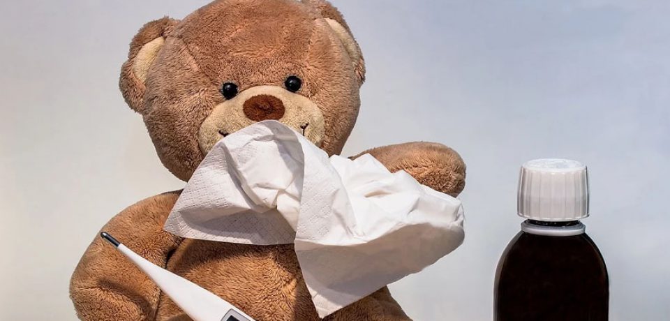 NATURALNE WSPARCIE NA JESIEŃ-ZIMĘ-WIOSNĘ