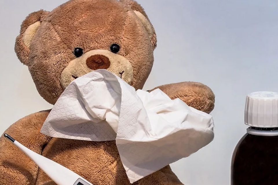 NATURALNE WSPARCIE NA JESIEŃ-ZIMĘ-WIOSNĘ