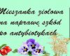Mieszanka ziołowa na naprawę szkód po antybiotykach